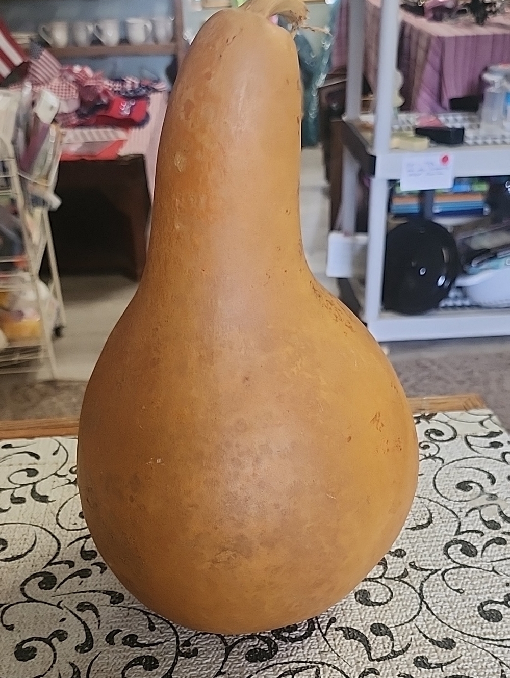 Natural Tan Decorative Gourd - Home Accent